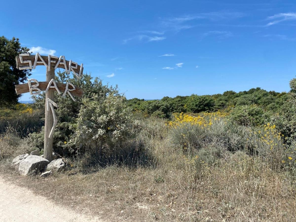 Villa Brig 36 Premantura Εξωτερικό φωτογραφία
