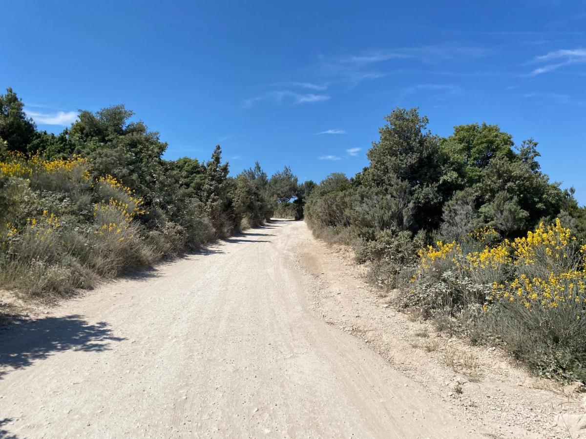 Villa Brig 36 Premantura Εξωτερικό φωτογραφία